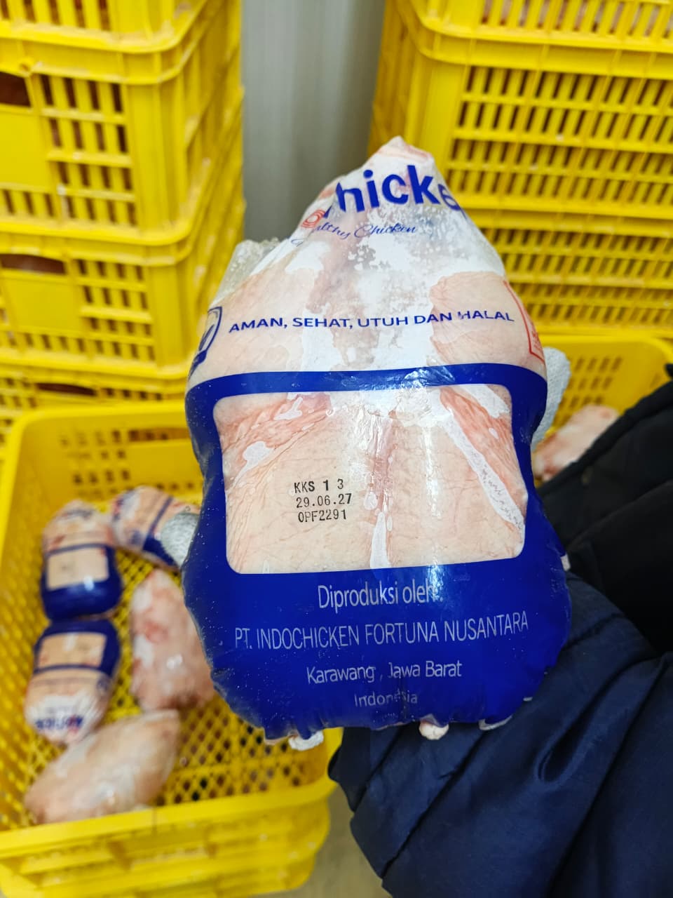 Ayam Broiler